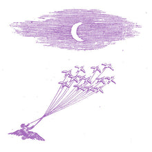 Load image into Gallery viewer, FEELING FIGURES - "Migration Magic" LP