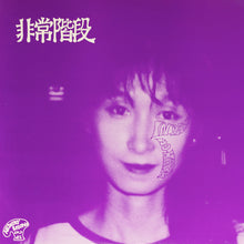 Load image into Gallery viewer, HIJOKAIDAN - "No Paris / No Harm" LP