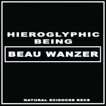 Load image into Gallery viewer, BEAU WANZER / HIEROGLYPHIC BEING - "4 Dysfunctional Psychotic Release & Sonic Reprogramming Purposes Only" LP