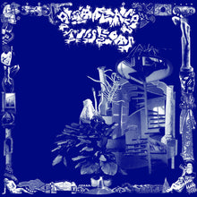 Load image into Gallery viewer, GLITTERING INSECTS - "S/T" LP