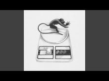 Load and play video in Gallery viewer, VOICE ACTOR - "Fake Sleep" LP