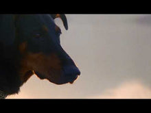 Load and play video in Gallery viewer, OVERMONO - "Good Lies" LP