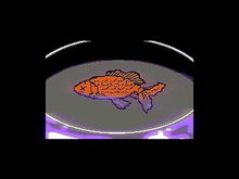 Load and play video in Gallery viewer, PARASITE JAZZ - "S/T" LP