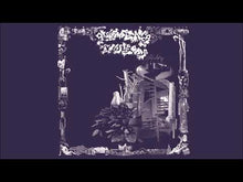Load and play video in Gallery viewer, GLITTERING INSECTS - "S/T" LP