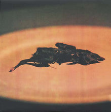 Load image into Gallery viewer, SON OF EARTH - "Pet" LP