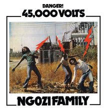 Load image into Gallery viewer, NGOZI FAMILY - "45,000 Volts" LP
