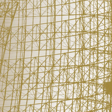 Load image into Gallery viewer, BILL DIREEN & THE HAT - "The Flavour of the Meat" LP