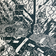 Load image into Gallery viewer, DIP FRISO - "Crocodile or Real?" LP