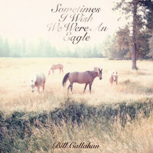 Load image into Gallery viewer, BILL CALLAHAN - "Sometimes I Wish We Were An Eagle" LP