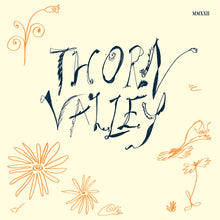 Load image into Gallery viewer, VARIOUS ARTISTS - "Thorn Valley" 2xLP