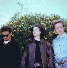 Load image into Gallery viewer, STEPHEN - "Radar of Small Dogs" LP