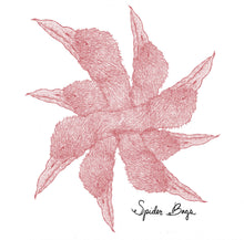 Load image into Gallery viewer, SPIDER BAGS - "A Celebration of Hunger" LP