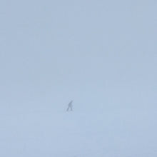 Load image into Gallery viewer, SKEE MASK - "Compro" 2xLP