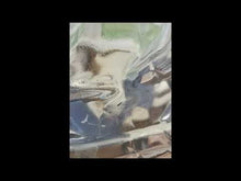 Load and play video in Gallery viewer, STILL HOUSE PLANTS - "Fast Edit" LP