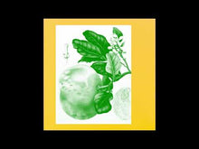 Load and play video in Gallery viewer, SUNNY BALM - “Eucalypt” LP