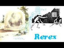 Load and play video in Gallery viewer, JAMES FERRARO - "Rerex" 3xLP