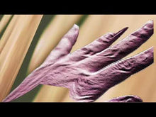 Load and play video in Gallery viewer, METRIST - "Spoils" LP