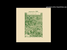 Load and play video in Gallery viewer, WALTER MAIOLI / FRED GALES / PIT PICCINELLI - "Amazonia 6891" 2xLP