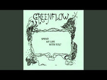 Load and play video in Gallery viewer, GREENFLOW - "Solutions" LP