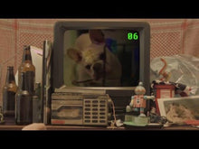 Load and play video in Gallery viewer, ANIMAL CITY "Bump Head Go Home" LP