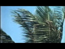 Load and play video in Gallery viewer, VARIOUS ARTISTS - "Tradewinds: The Wavesailing Film" LP