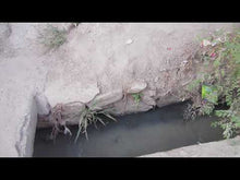 Load and play video in Gallery viewer, UNDA FLUXIT - "Stone Ringing Sorrows" CS
