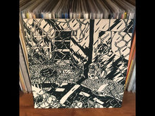 Load and play video in Gallery viewer, DIP FRISO - "Crocodile or Real?" LP