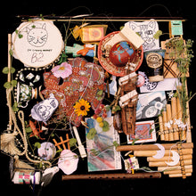 Load image into Gallery viewer, STYROFOAM WINOS - "S/T" LP