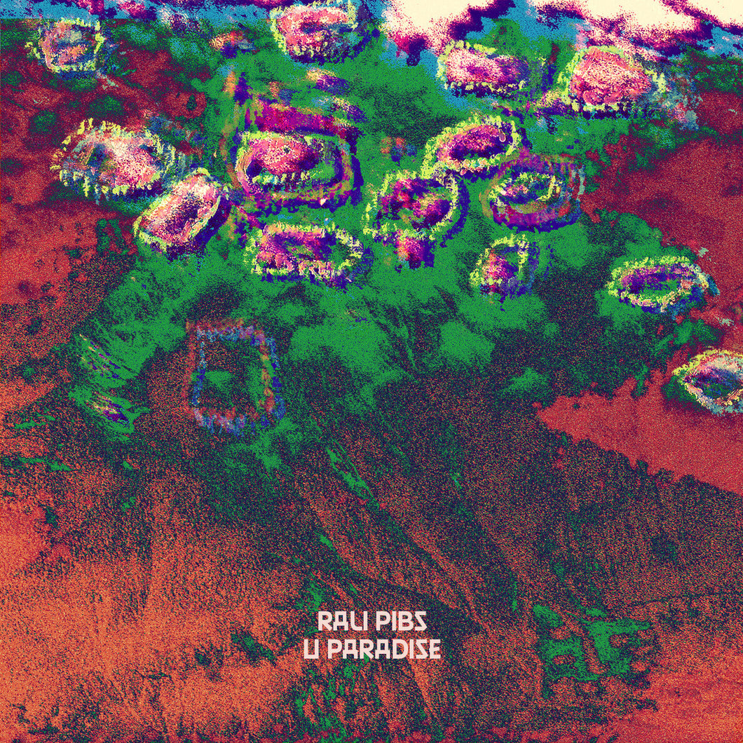 RALI PIBS - 