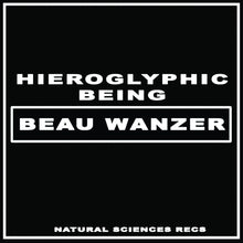 Load image into Gallery viewer, BEAU WANZER / HIEROGLYPHIC BEING - &quot;4 Dysfunctional Psychotic Release &amp; Sonic Reprogramming Purposes Only&quot; LP
