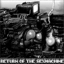 Load image into Gallery viewer, VARIOUS ARTISTS - &quot;Return of the Sexmachine&quot; LP
