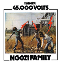Load image into Gallery viewer, NGOZI FAMILY - &quot;45,000 Volts&quot; LP
