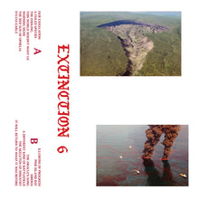 Load image into Gallery viewer, ORLANDO FITZGERALD - &quot;Extinction 6&quot; CS
