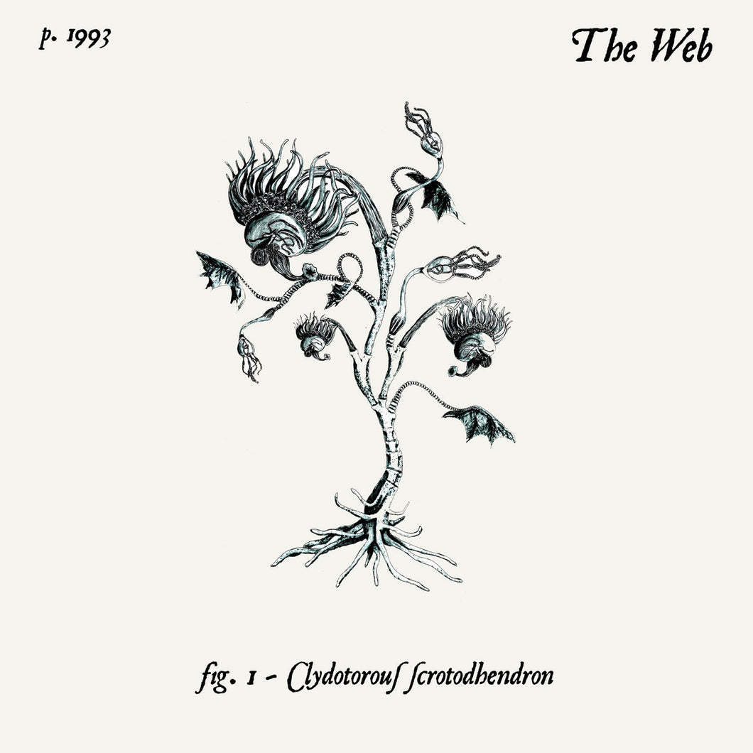 THE WEB - 