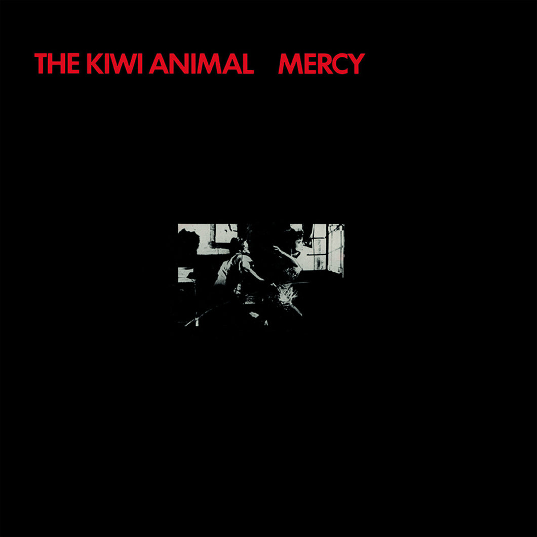 THE KIWI ANIMAL - 