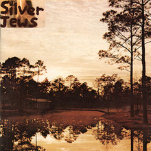 Load image into Gallery viewer, SILVER JEWS - &quot;Starlite Walker&quot; LP
