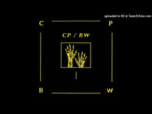 Load and play video in Gallery viewer, BEAU WANZER / CORPORATE PARK - &quot;CP/BW II&quot; LP

