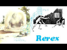 Load and play video in Gallery viewer, JAMES FERRARO - &quot;Rerex&quot; 3xLP
